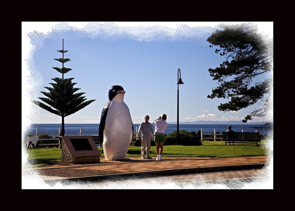Penguin Beachfront Apartments Εξωτερικό φωτογραφία